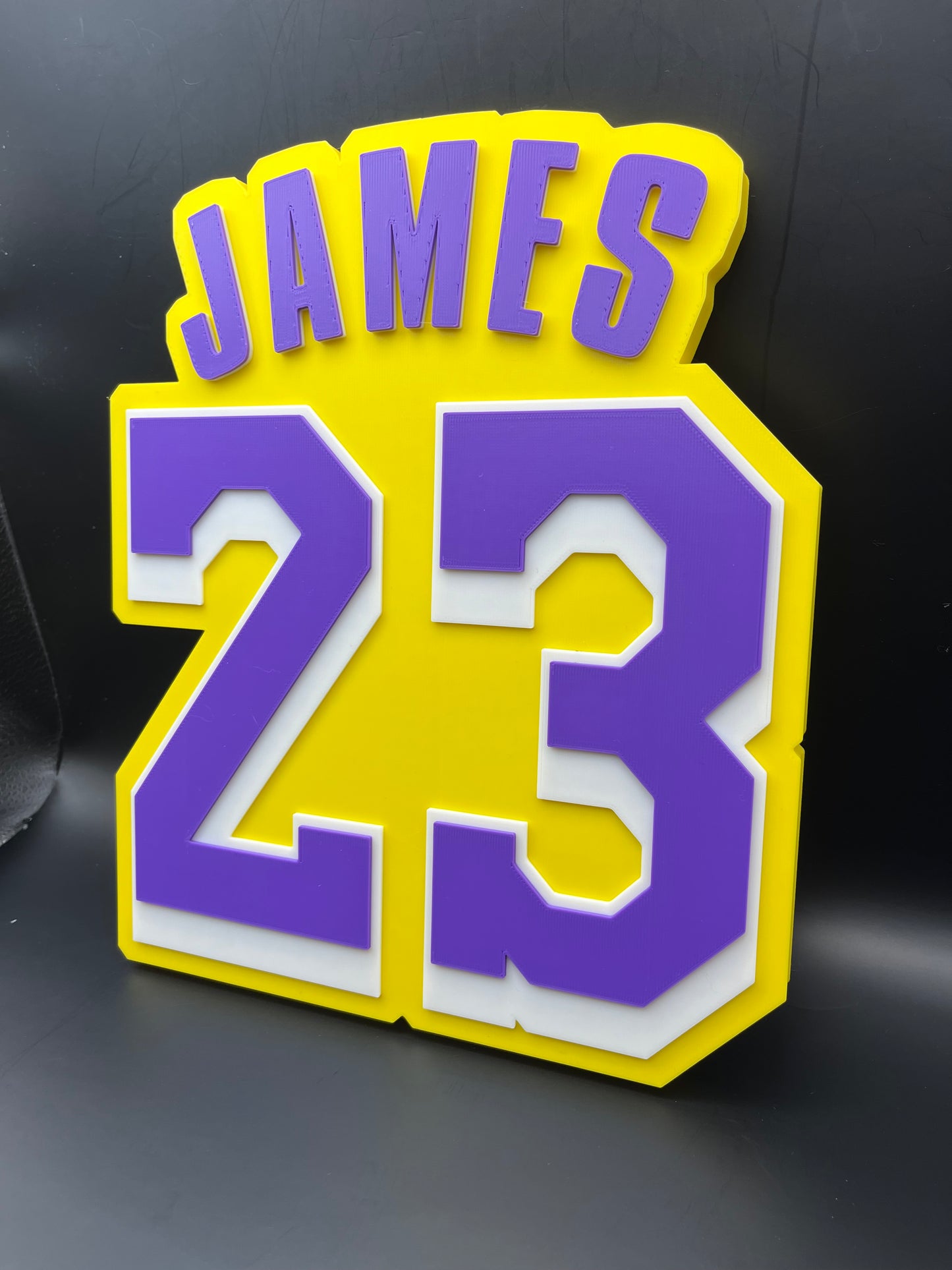 LeBron James 23 Logo Sign Display | 3D Wall Desk Shelf Art - UNRIVAL3D
