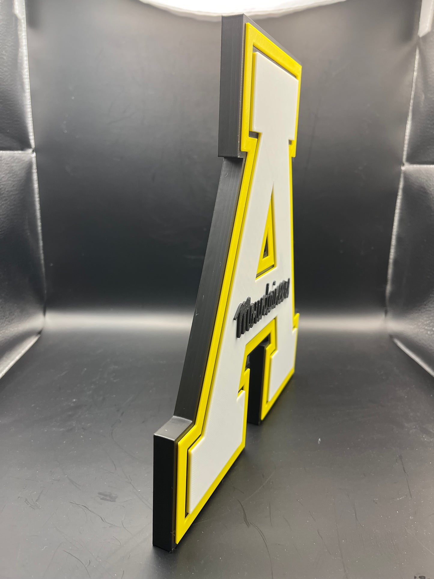 Appalachian State Mountaineers Logo Sign Display | 3D Wall Desk Shelf Art - UNRIVAL3D